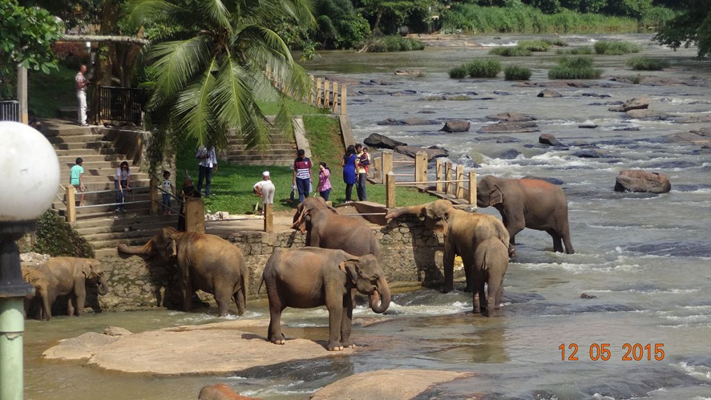 Sri Lanka tour